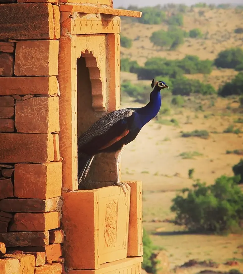 khaba-fort-jaisalmer